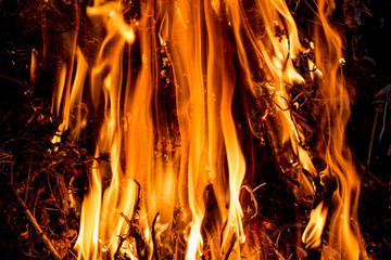 Texture of bright tongues of fire on a dark background_