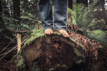 Fototapeta premium barefoot on a log