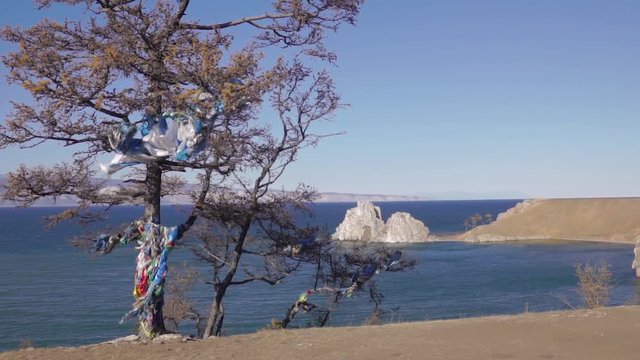 Ritual tree on the background of Cape Burhan on the Olkhon island, lake Baikal
