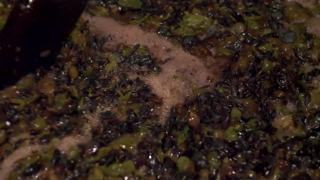 Stirring freshly crushed Othello grapes at vintage