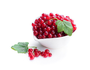 Fresh red currant in ceramic bowl isolated on white