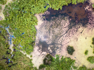 Aerial Drone Photo of the Countryside Forest, Top Down View in Sunny Summer Day