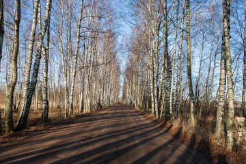 Дорога / Road