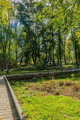 Obraz premium beautiful image of a wooden walkway in the park on a wonderful sunny autumn day in Voerendaal South Limburg in the Netherlands Holland