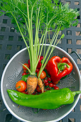 Microbiome Enriching, Unwashed Garden Vegetables