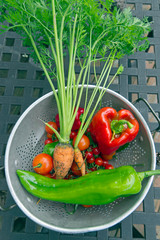 Organic Garden Vegetable Harvest