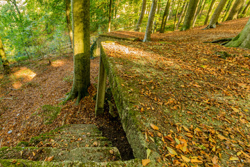 impressive image of ruins of an ancient amphitheater in the middle of the forest in Spaubeek in...