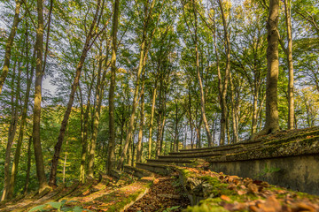 view of an ancient amphitheater in the middle of the forest on a magic autumn day in Spaubeek in South Limburg in the Netherlands Holland