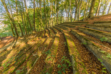 magic image of the staircase of the ruins of amphitheater in the open air in the middle of the forest on wonderful autumn day in Spaubeek in South Limburg in the Netherlands Holland