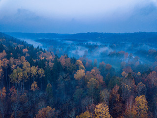 Aerial Photography of a Forest in Foggy Autumn Morning