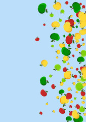 Autumn background with yellow, red and green apples.