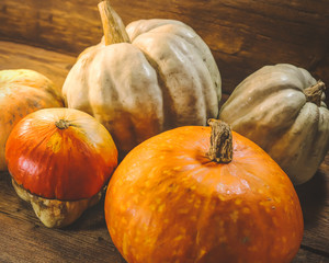 different pumpkins on wooden background.