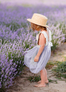 portrait of little girl outdoors in summer