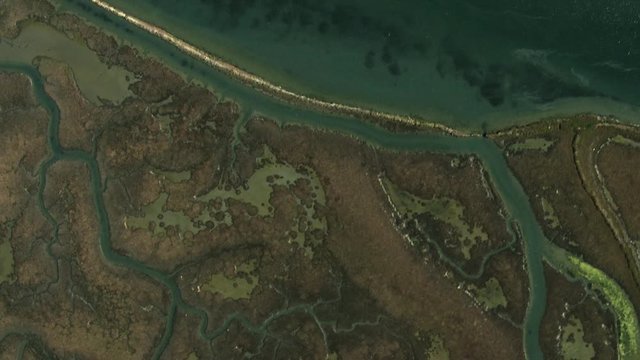 Aerial San Francisco Coastal wetlands wildlife delta USA