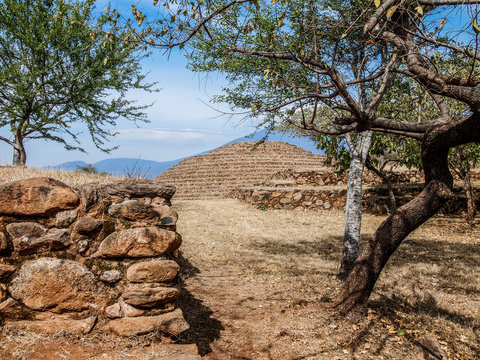 Guachimontones pre hispanic archaeological zone against blue sky, tree with irregular trunk, stone walls, circular pyramid, stepped conical structure, arid land, sunny day in Teuchitlan Jalisco Mexico