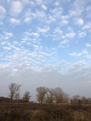 Obraz premium Autumn landscape