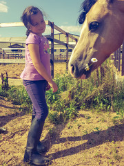 Beautiful girl smiling, caring and feeding chamomile horse (Welsh pony) on the equestrian club...