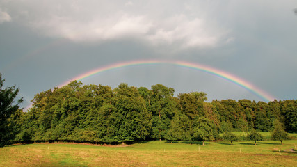 Beautiful colourful rainbow over the wood
