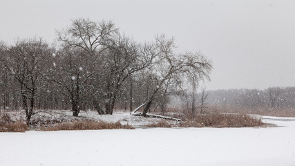 Winter landscape with snowfall