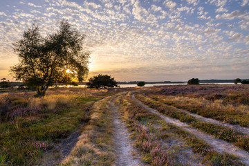 Beautiful sunset over heathland and harbour