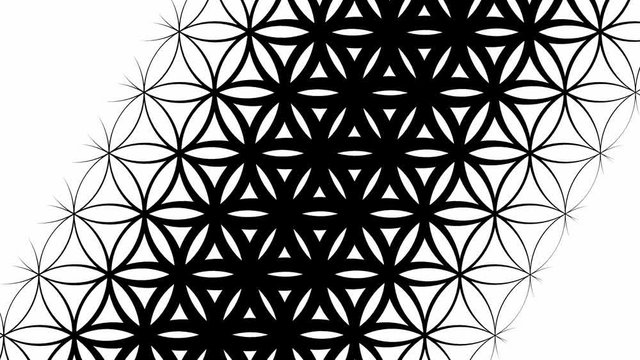 Abstract graphic slow motion black and white background pattern