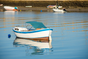 Barca de pesca en el río