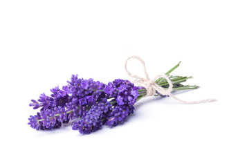Lavendel  -  Kleiner Strauß Lavendelblüten - obrazy, fototapety, plakaty
