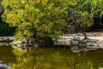 outdoor park lake and small island place for rest and walking 
