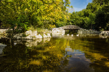 Obraz premium park outdoor natural environment for rest and walking with small lake and bridge
