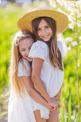 portrait of two girls of girlfriends on a summer nature