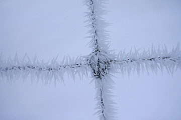 Frozen fence made of metal wire covered with frost crystals.