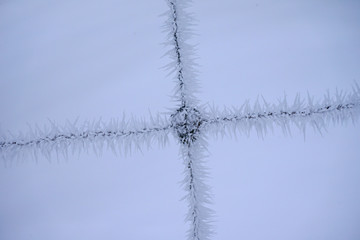 Frozen fence made of metal wire covered with frost crystals.