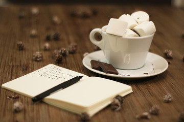 Making plans for christmas and new year eve in winter decorations and drinking hot choclate drink with marshmallows