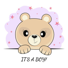 Fantasy cute teddy bear face isolated on blue background.