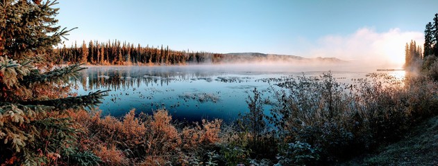 Fog settling on the bog
