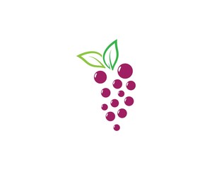 Grape logo template vector icon illustration design