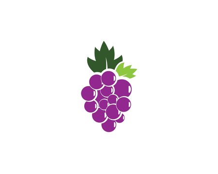 Grape logo template vector icon illustration design