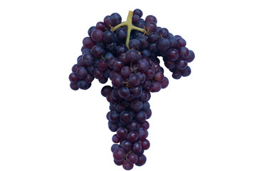A bunch of dark red grape isolated on white background with clipping path