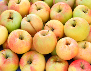 Many apples stack up