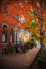 Pictoresque Street with a Red Leaves Tree in Autumn in Georgetown.