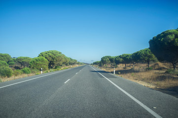 Crossing Donana Natural Park by N-442 road, Spain