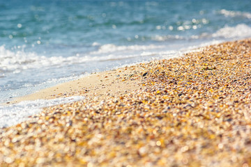 Surf on the sea sandy shore with shells in the rays of the summer hot sun