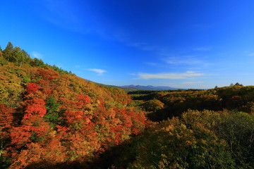 紅葉の八幡平