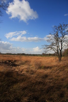 Ewiges Meer