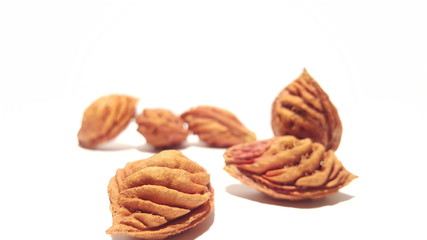 Fruit Pits on White Background.  Bunch Collection of Nectarine Peach Seeds.