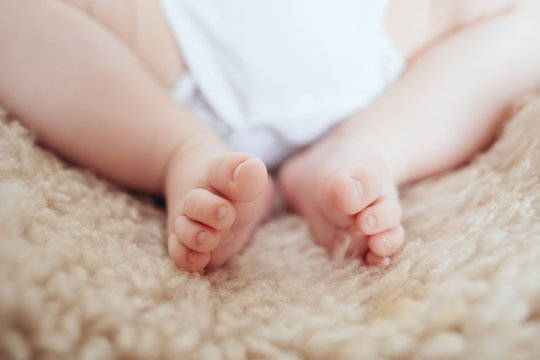 7 622 Best Pieds Images Stock Photos Vectors Adobe Stock 7 622 Best Pieds Images Stock Photos Vectors Adobe Stock