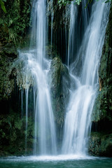 Fototapeta na wymiar Streaming cascade water in green forest