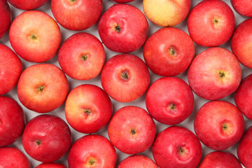 Lots of red apples on white background