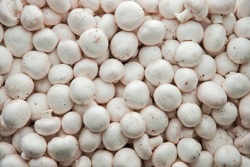 a lot of champignon mushrooms