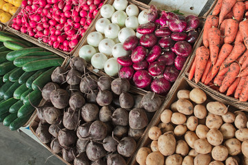 summer vegetables on the market